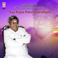 Sirivennela Sitaramasastri Hits - Naa Paata Panchamrutham songs mp3