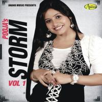 Pooja&039;s Storm Vol.1 songs mp3
