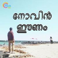 Iravino Pagalino Vineeth Sreenivasan Song Download Mp3