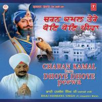 Charan Kamal Tere Dhoye Dhoye Peewan songs mp3