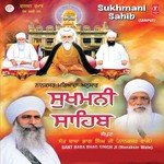 Sukhmani Sahib Bhai Pishora Singh Ji-Damdami Taksal Wale Song Download Mp3