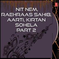 Nit Nem, Raehraas Sahib, Aarti, Kirtan Sohela-Part 2 songs mp3