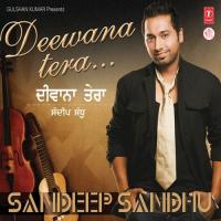 Diwana Tera songs mp3