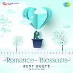 Romance Blossoms - Best Duets songs mp3