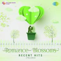Romance Blossoms - Recent Hits songs mp3