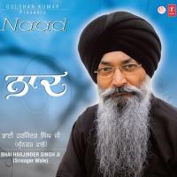 Gun Naad Dhun Anand Bed Bhai Harjinder Singh Ji (Srinagar Wale) Song Download Mp3