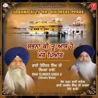 Sabhna Teri Aas Prabh Sabh Jea Tere Toon Raas Bhai Tejinder Singh Ji (Shimla Wale) Song Download Mp3