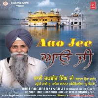 Ae Mann Mat Janah Har Door Hai Bhai Raghbir Singh Ji Usa Song Download Mp3