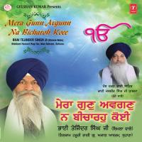 Mera Gun Avgun Na Bicharho Koi Bhai Tejinder Singh Ji (Shimla Wale) Song Download Mp3