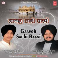 Gavho Sachi Baani songs mp3