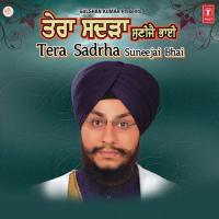 Tera Sadhra songs mp3