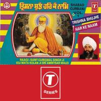 Trishna Bhujhe Har Ke Naam Bhai Guriqbal Singh (Gu: Mata Kaulan Ji,Amritsar) Song Download Mp3