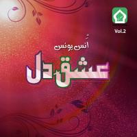 Ishq E Dil, Vol. 2 songs mp3