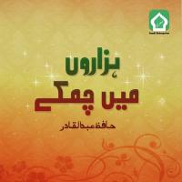 Tamana Hai K Gulzar E Madina Hafiz Abdul Qadir Song Download Mp3