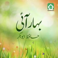 Bahar Aai Hafiz Abu Bakar Song Download Mp3