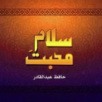 Ishq Ka Meyar Hafiz Abdul Qadir Song Download Mp3