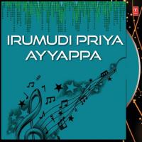 Uyyale Tooga Banniro Puttur Narasimha Nayak Song Download Mp3