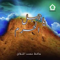 Meri Nazro Mein Hafiz Muhammad Ashfaq Song Download Mp3
