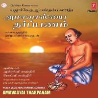 Amavasyai - Viseshakala,Tarpanam Aswini Sastry,Rohini Sastry Song Download Mp3