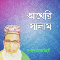 Akheri Salam Malek Zehadi Song Download Mp3