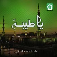 Ya Taiba Ya Taiba Hafiz Muhammad Ashfaq Song Download Mp3