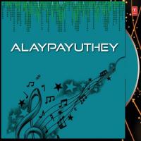 Alaypayuthey Kanna Sudha Ranjith Song Download Mp3