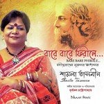 Bajo Rahi Sakhiyare Muraliya Chabi Nayak Song Download Mp3
