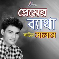 Ami Jar Pagol Baul Salam Song Download Mp3