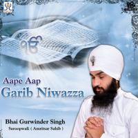 Dum Na Birtha Jaye Bhai Gurwinder Singh Song Download Mp3