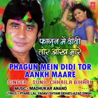 Phagun Mein Didi Tor Aankh Maare Sunil Chhaila Bihari Song Download Mp3