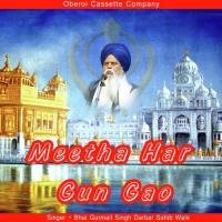 Meetha Har Gun Gao songs mp3