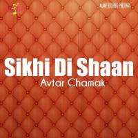 Sikhi Di Shaan Avtar Chamak Song Download Mp3
