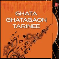 Ghata Ghatagaon Tarinee Various Artists Song Download Mp3