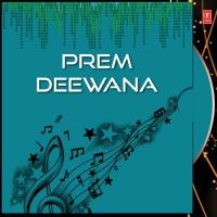 Prem Deewana songs mp3