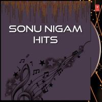 Sonu Nigam Hits songs mp3