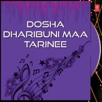 Dosha Dharibuni Maa Tarinee songs mp3