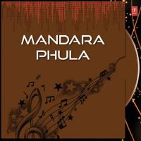 Mandara Phula songs mp3