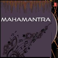 Hare Rama Hare Krusna Narendra Kumar Song Download Mp3