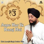 Aape Har Ek Rang Hai Bhai Amarjit Singh Song Download Mp3