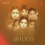 Saara Saara Din Tum Kaam Karoge (From "Nigahen") Kavita Krishnamurthy Song Download Mp3