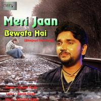 Meri Jaan Bewafa Hai Gunjan Singh Song Download Mp3