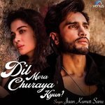 Dil Mera Churaya Kyun - Recreated Jaan Kumar Sanu Song Download Mp3