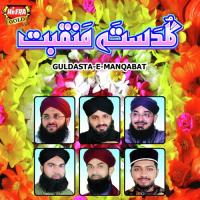 Rangeen Shah Ke Deewane Rehan Qadri Song Download Mp3