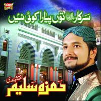 Mera Tan Man Bolay Allah Hoo Hamza Saleem Naqshbandi Song Download Mp3