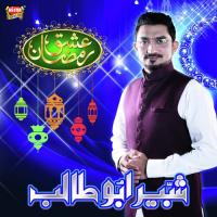 Jab Husun Tha Unka Shabbir Abu Talib Song Download Mp3