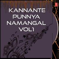Kannante Punnya Namangal Vol1 songs mp3