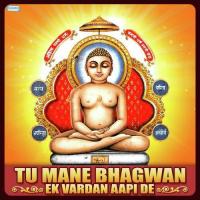 Tu Mane Bhagwan Ketan Dedhia Song Download Mp3