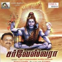 Alaikadal Mele Padaginaipolea Prabhakar Song Download Mp3