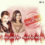 The Collection - Alka Yagnik And Kumar Sanu songs mp3