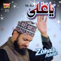 Ya Ali Zohaib Ashrafi Song Download Mp3